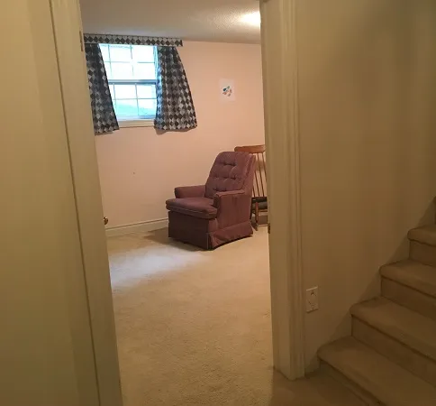 Open Concept Basement Remodel